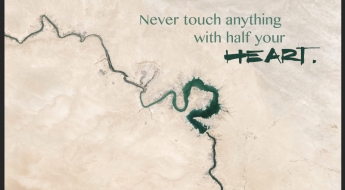 Never Touch Anything With Half Your Heart